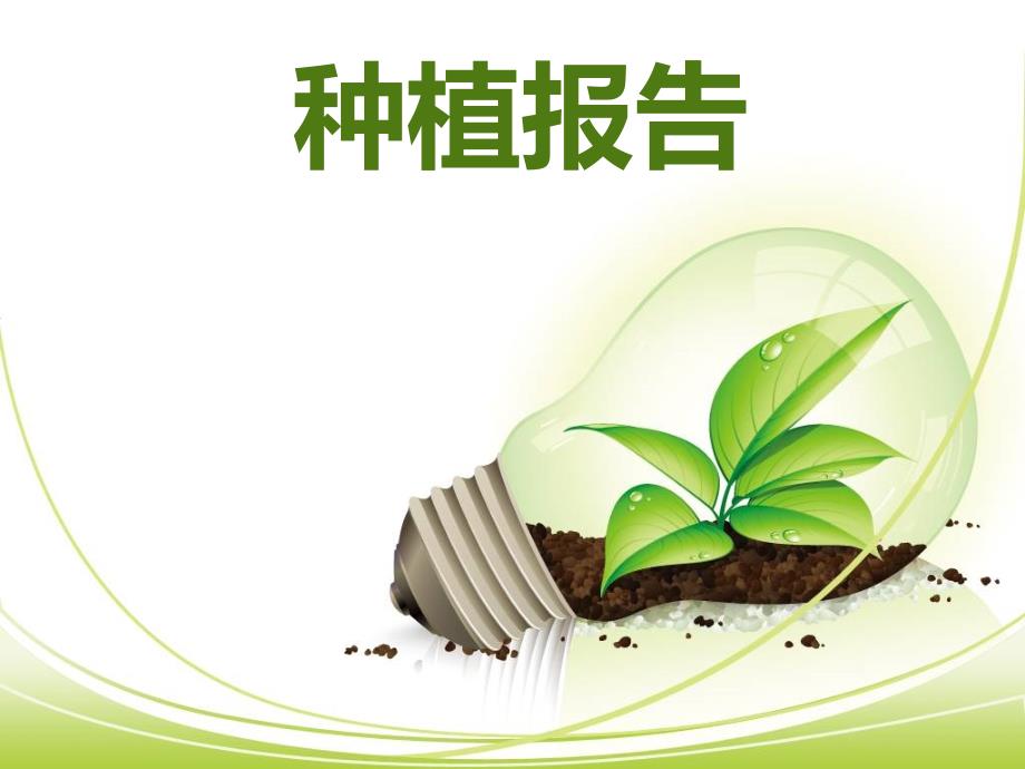 植物种植观察报告课件.ppt_第1页