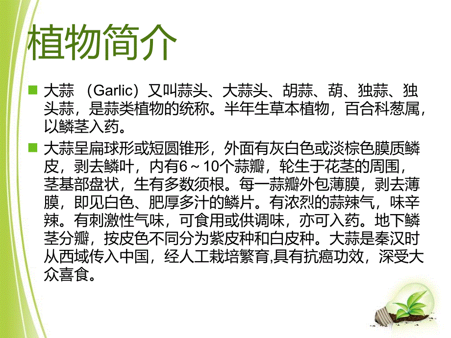 植物种植观察报告课件.ppt_第2页