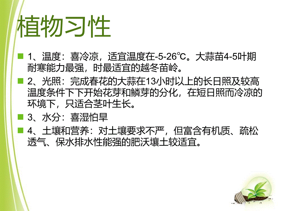 植物种植观察报告课件.ppt_第3页