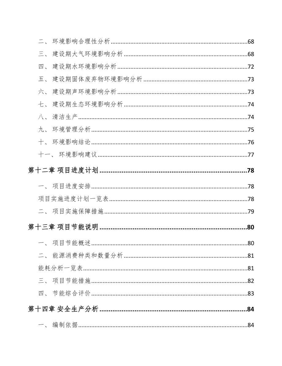 自贡5G+信息消费项目可行性研究报告_第5页