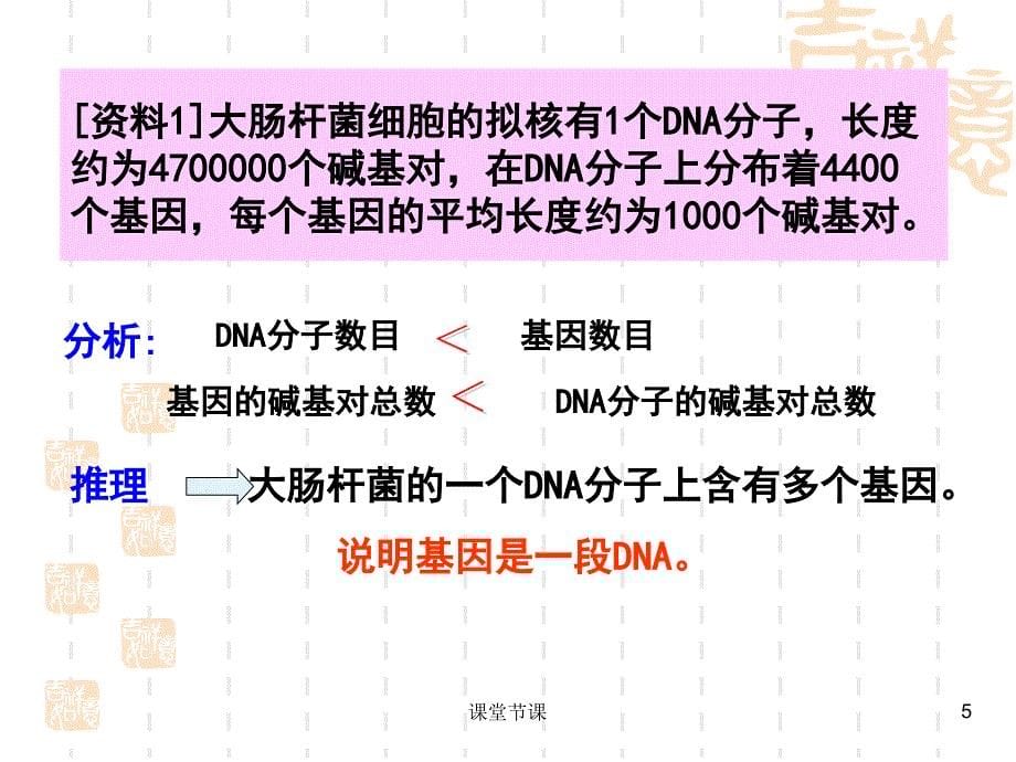 生物3.4基因是有遗传效应的DNA片段 课件2(人教版必修2)【课堂优讲】_第5页