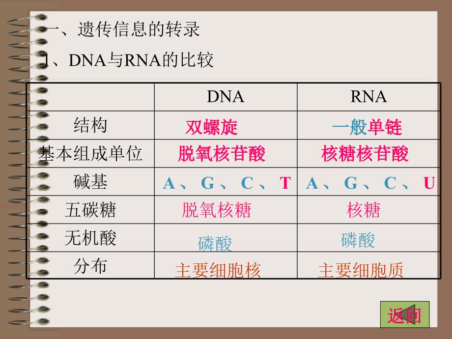 人教版教学课件基因的表达1_第2页