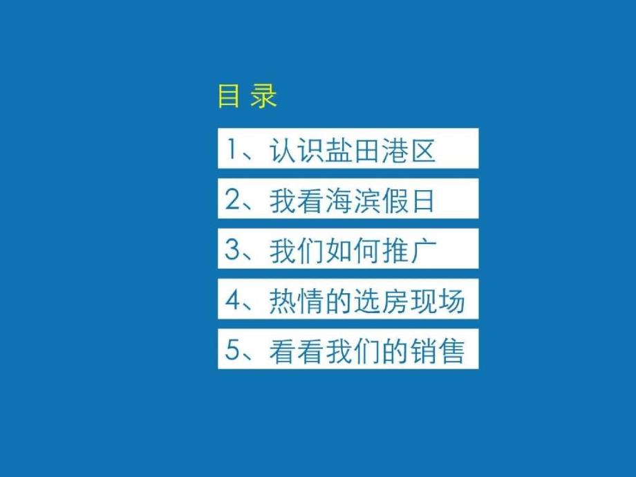 星彦地产深圳盐田海滨假日项目营销总结_第2页