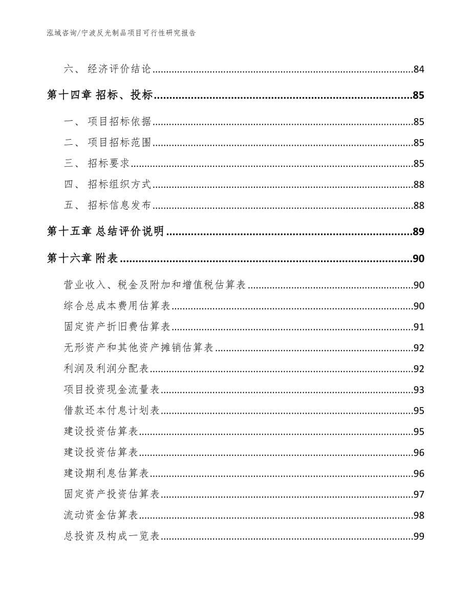 宁波反光制品项目可行性研究报告_第5页