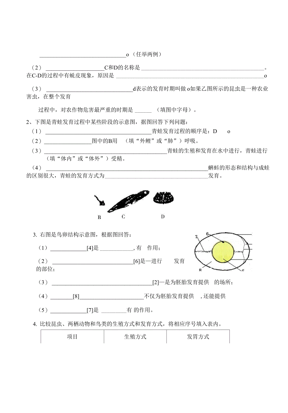 复习备课 王丽丽_第4页