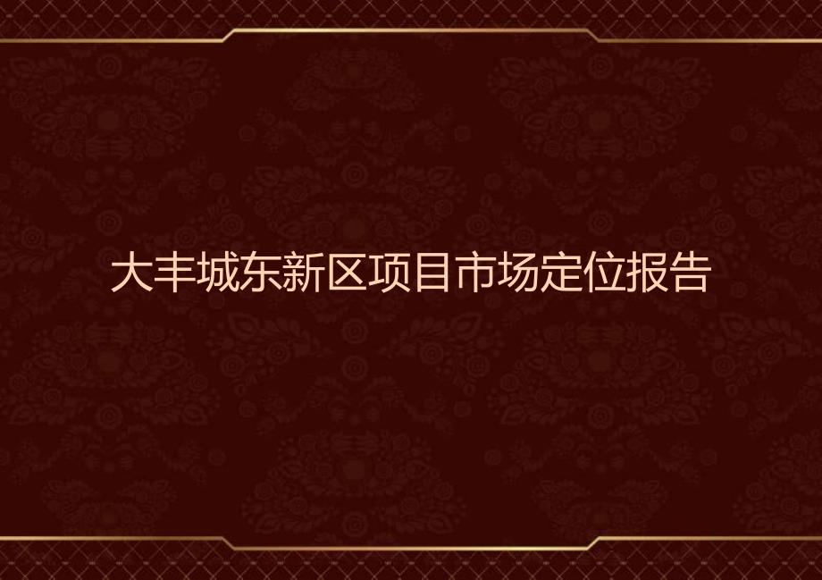 盐城大丰城东新区项目市场定位报告_第1页