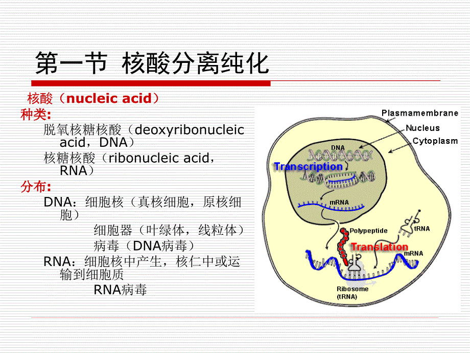 2013-第三章生物大分子的分离纯化资料_第3页