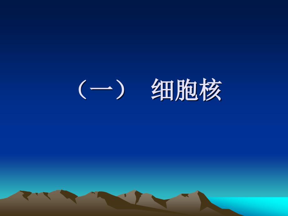 医学生物学专科课件六真核细胞的细胞器（细胞核、核糖体）课件_第4页