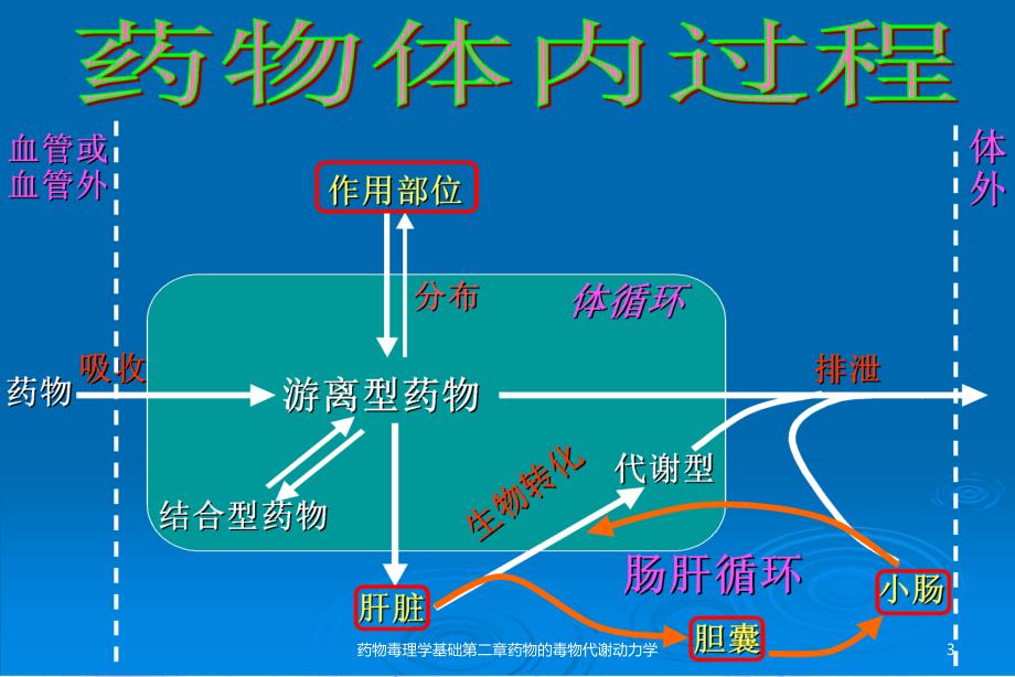 药物毒理学基础第二章药物毒物代谢动力学课件_第3页