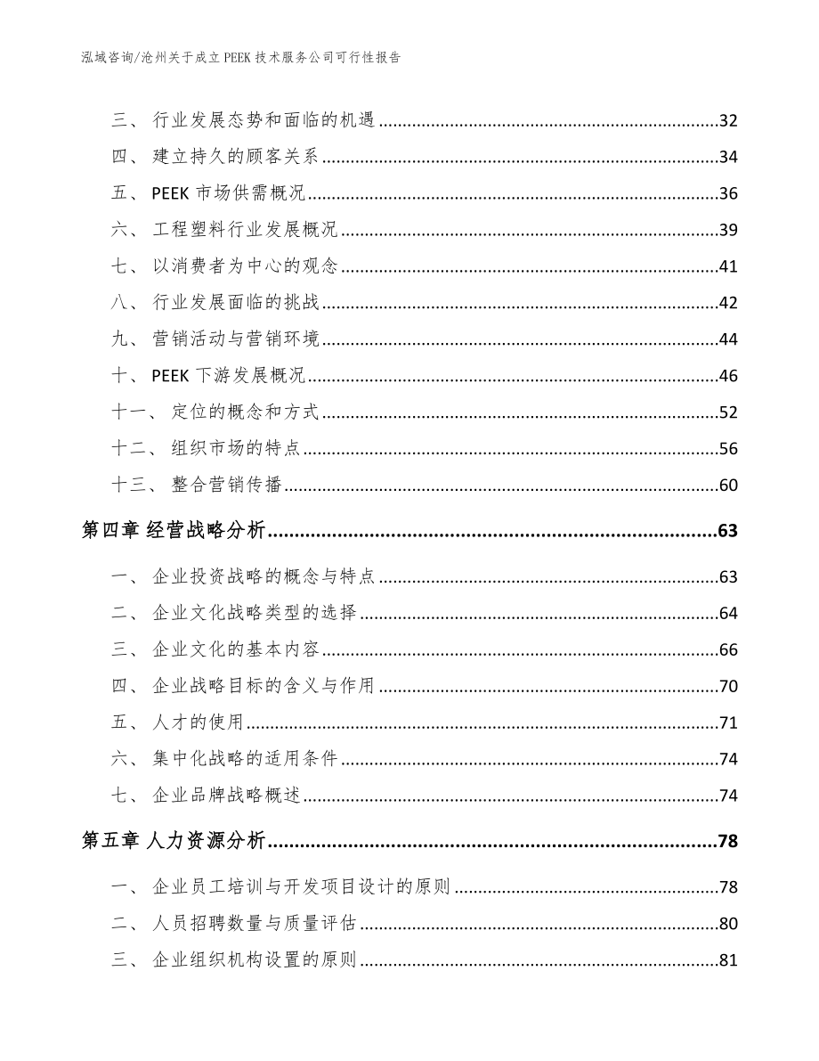 沧州关于成立PEEK技术服务公司可行性报告_范文_第2页