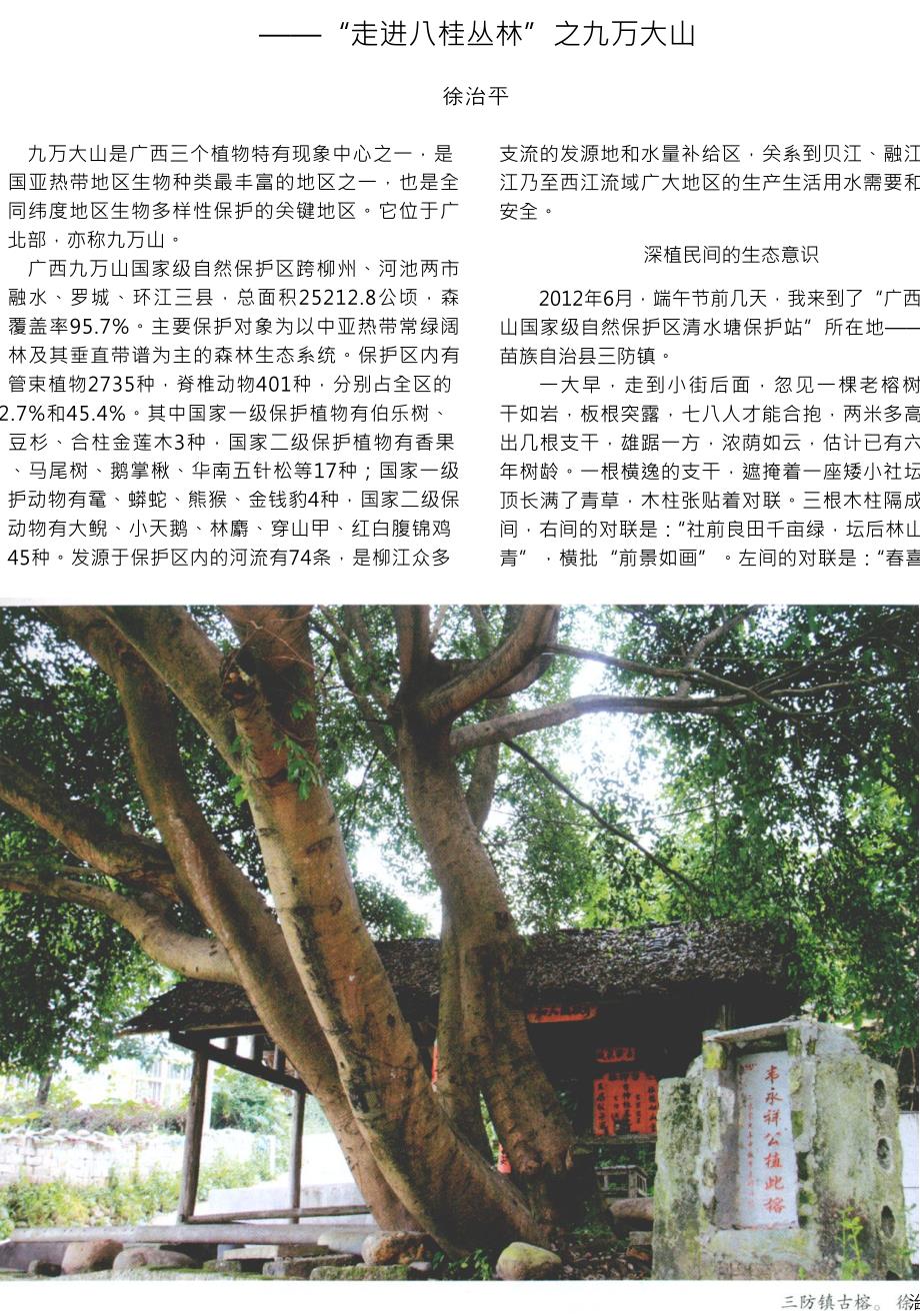 广西北部森林的原始标本走进八桂丛林之九万大山_第1页