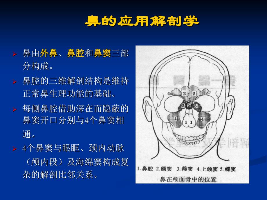 002鼻的应用解剖学和生理学文档资料_第1页