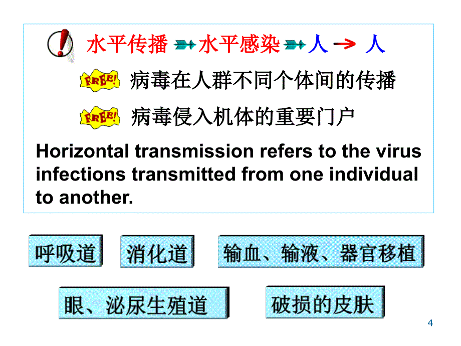 医学微生物学病毒的感染与免疫_第4页