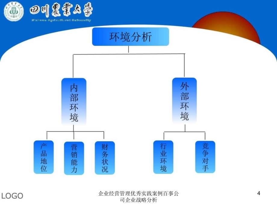 企业经营管理优秀实践案例百事公司企业战略分析课件_第4页