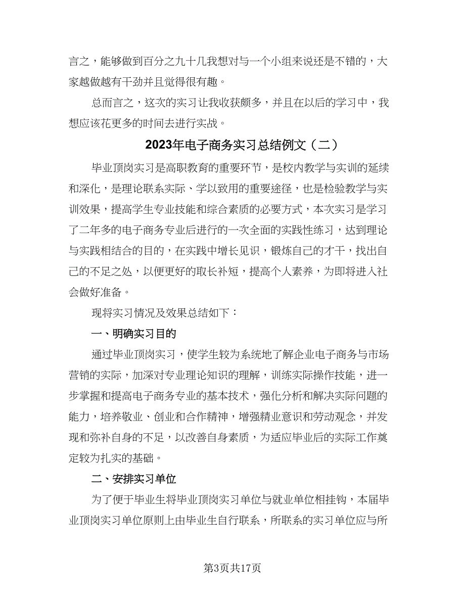 2023年电子商务实习总结例文（九篇）_第3页