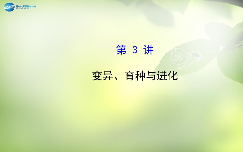 2022届高考生物二轮复习 专题四 遗传、变异和进化课件3_第1页