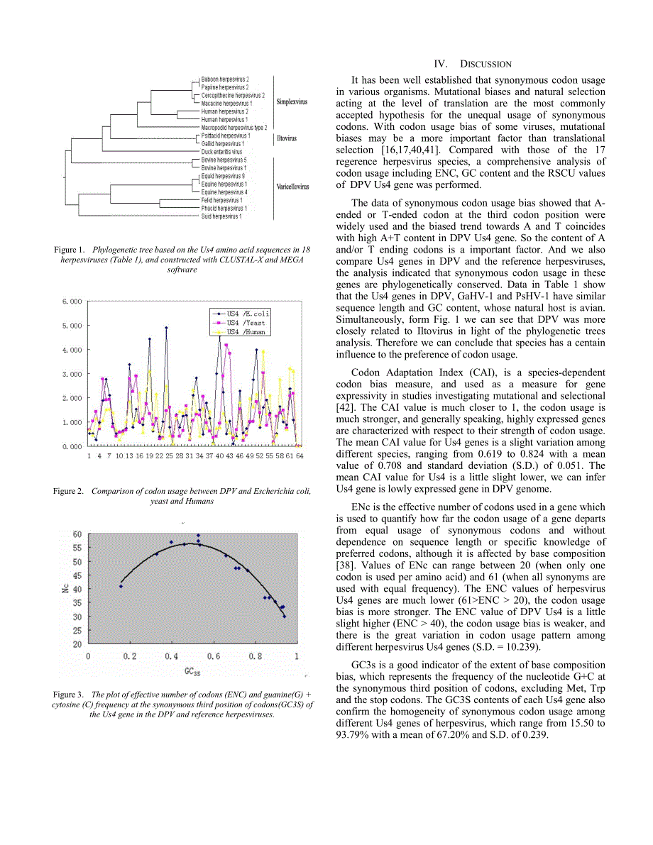 外文翻译--Characterization of Codon Usage Bias in the Us4 Gene of Duck Plague Virus_第4页