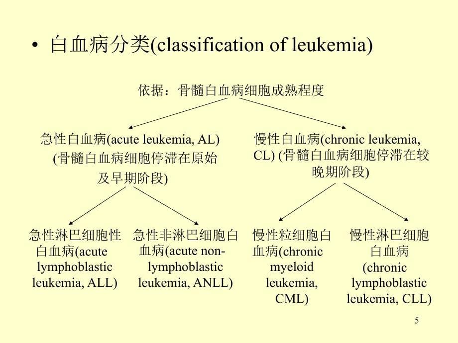 白血病教学课件_第5页