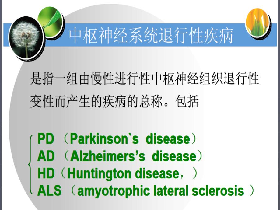 最新：最新17 中枢退行性病药物PPT文档文档资料_第3页