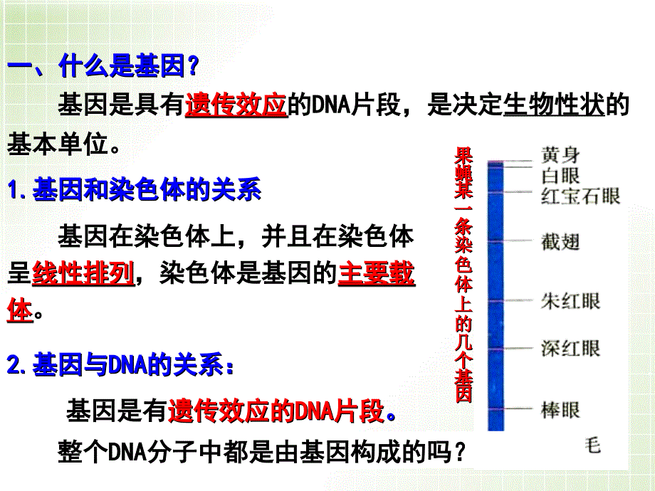 基因的表达理科PPT课件_第3页