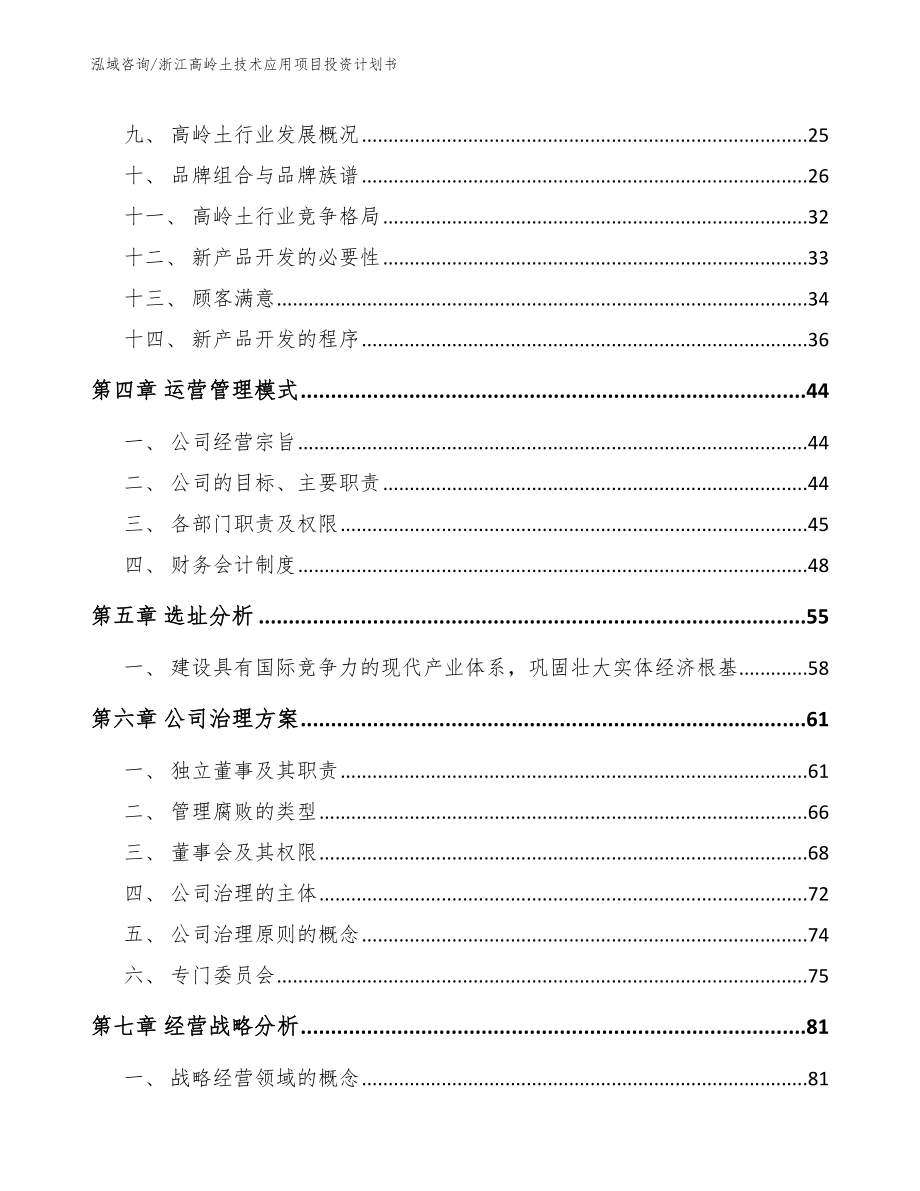 浙江高岭土技术应用项目投资计划书_第2页