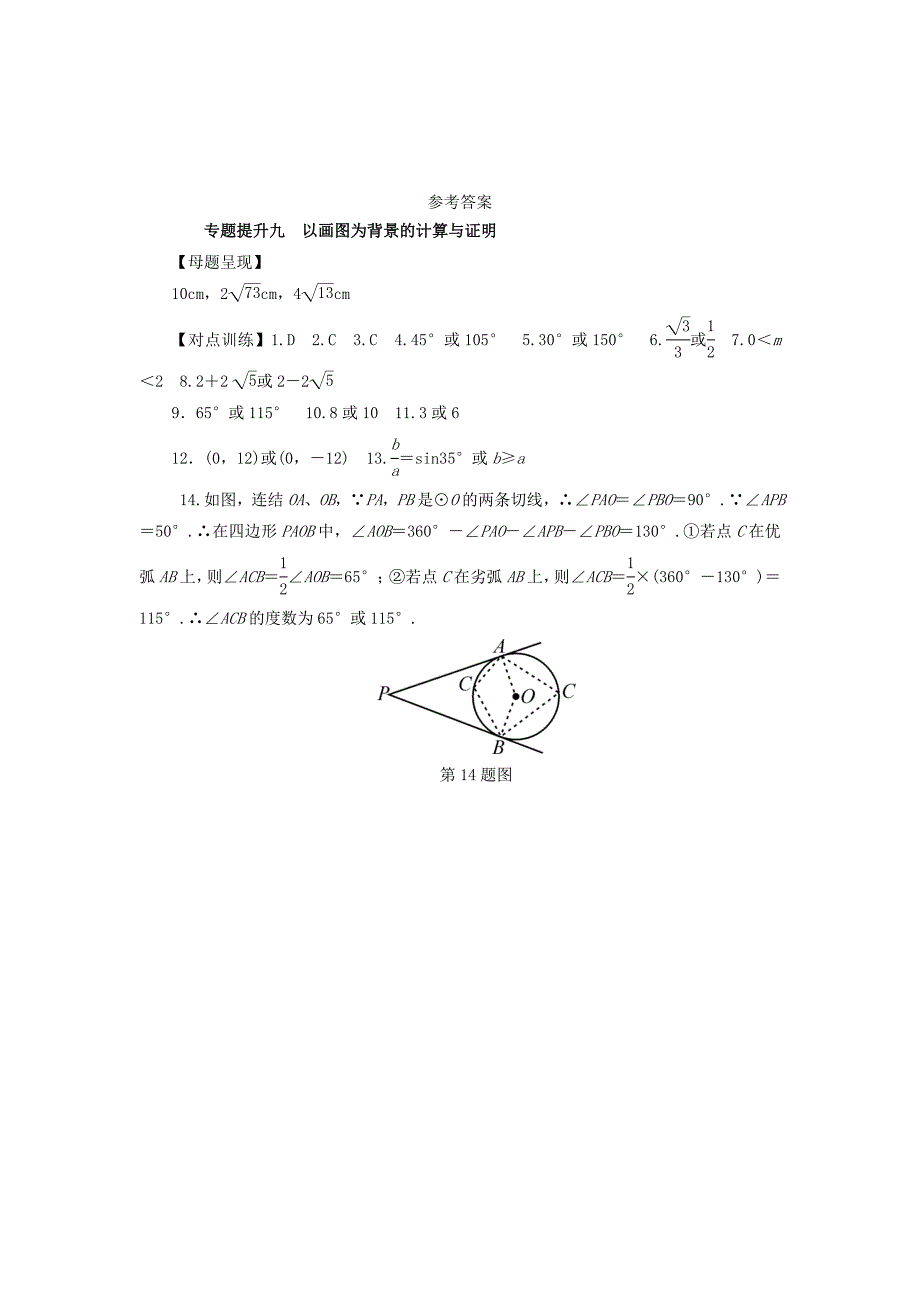 浙江省 中考数学总复习专题提升九以画图为背景的计算与证明试题_第3页