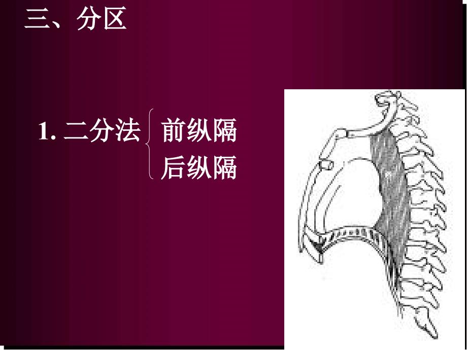 纵隔解剖医学PPT课件_第4页