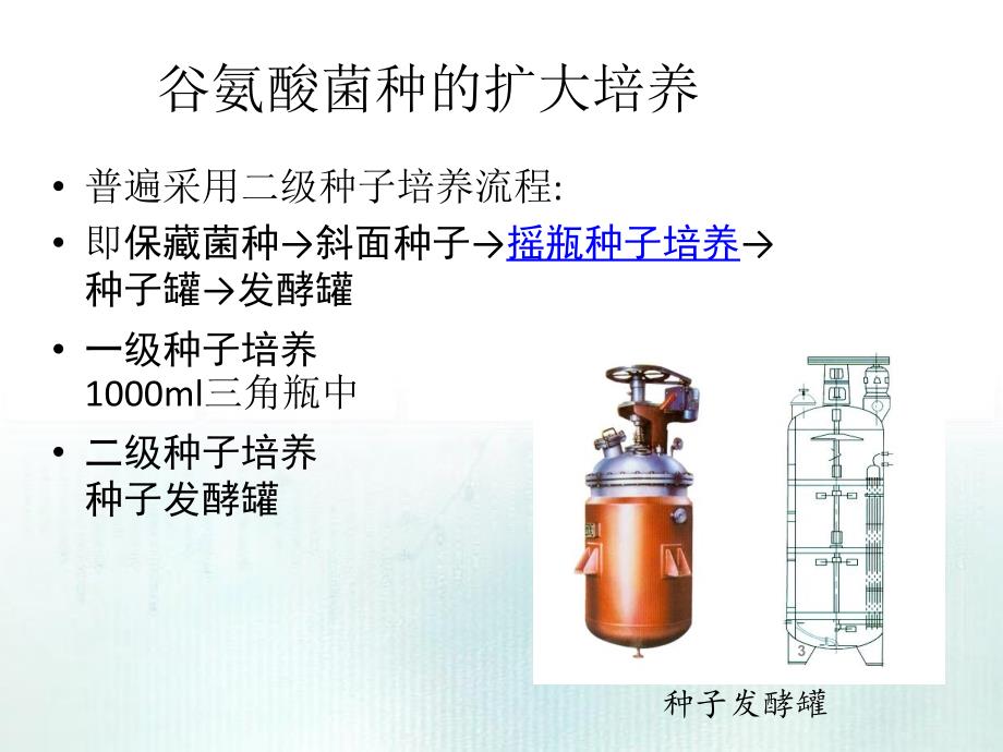 任务1412谷氨酸发酵工艺_第3页