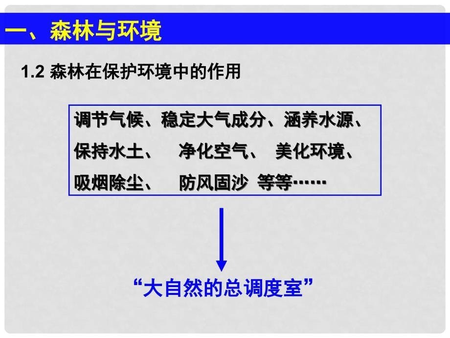 高中地理 第2章 区域生态环境建设 第2节 森林的开发和保护——以亚马孙热带雨林为例课件 新人教版必修3_第5页