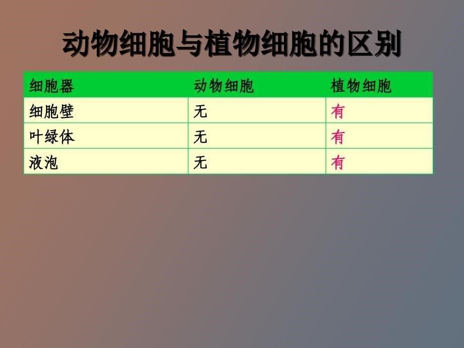 细胞的形态结构_第5页