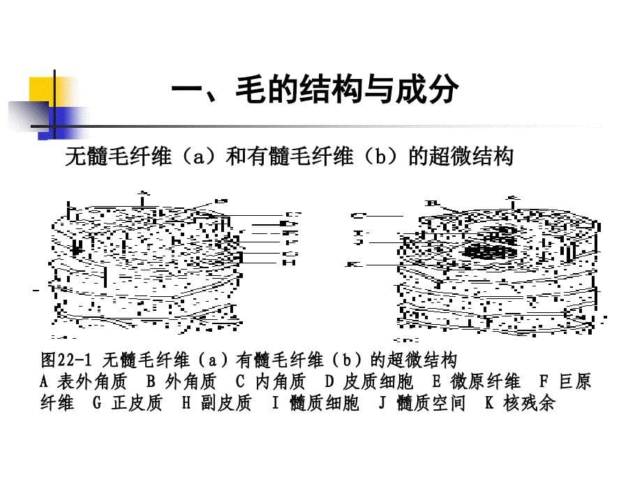 产毛的营养需要PPT课件_第5页