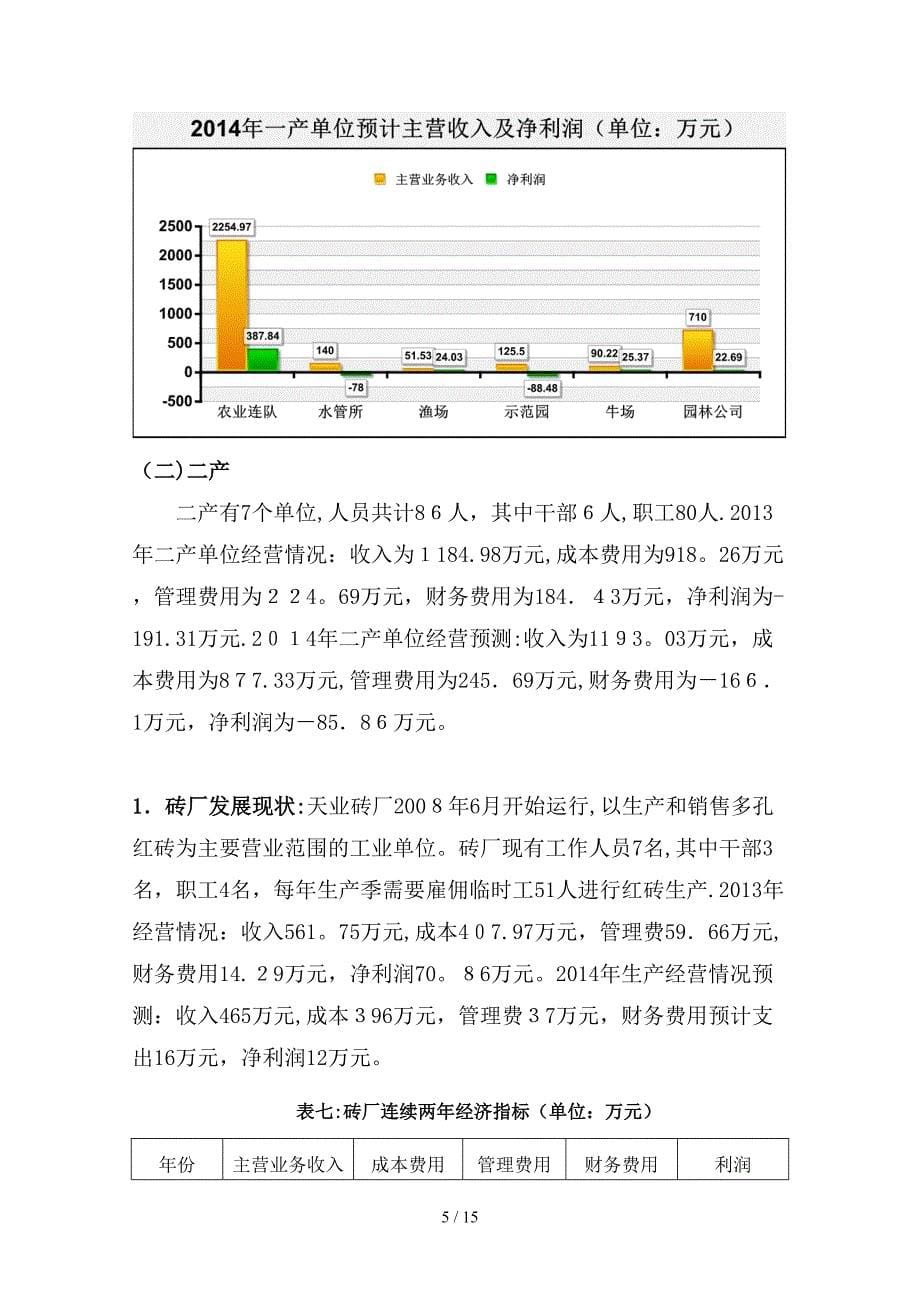 XX公司产业发展整合方案_第5页