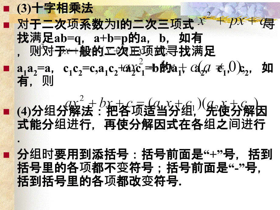 15.5分解因式复习上课用的_第3页