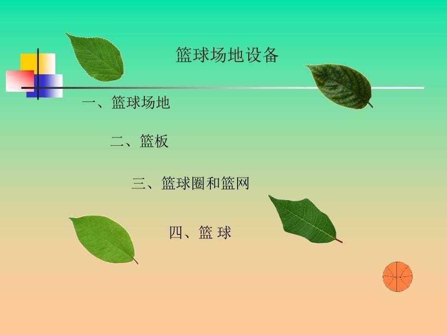 2．篮球 (4)_第5页