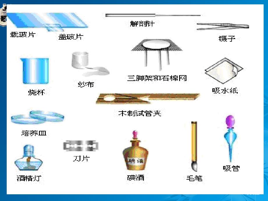 生物学研究生命的科学_第3页