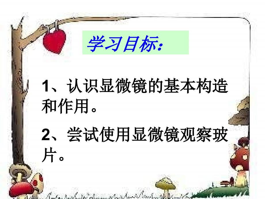 生物学研究生命的科学_第4页