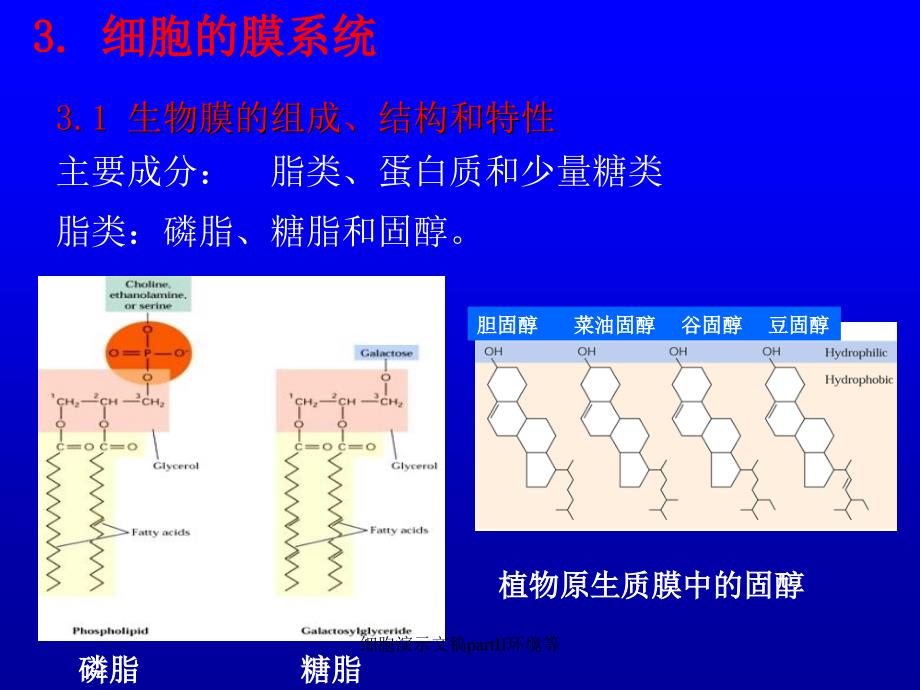 细胞演示文稿partII环境等课件_第1页