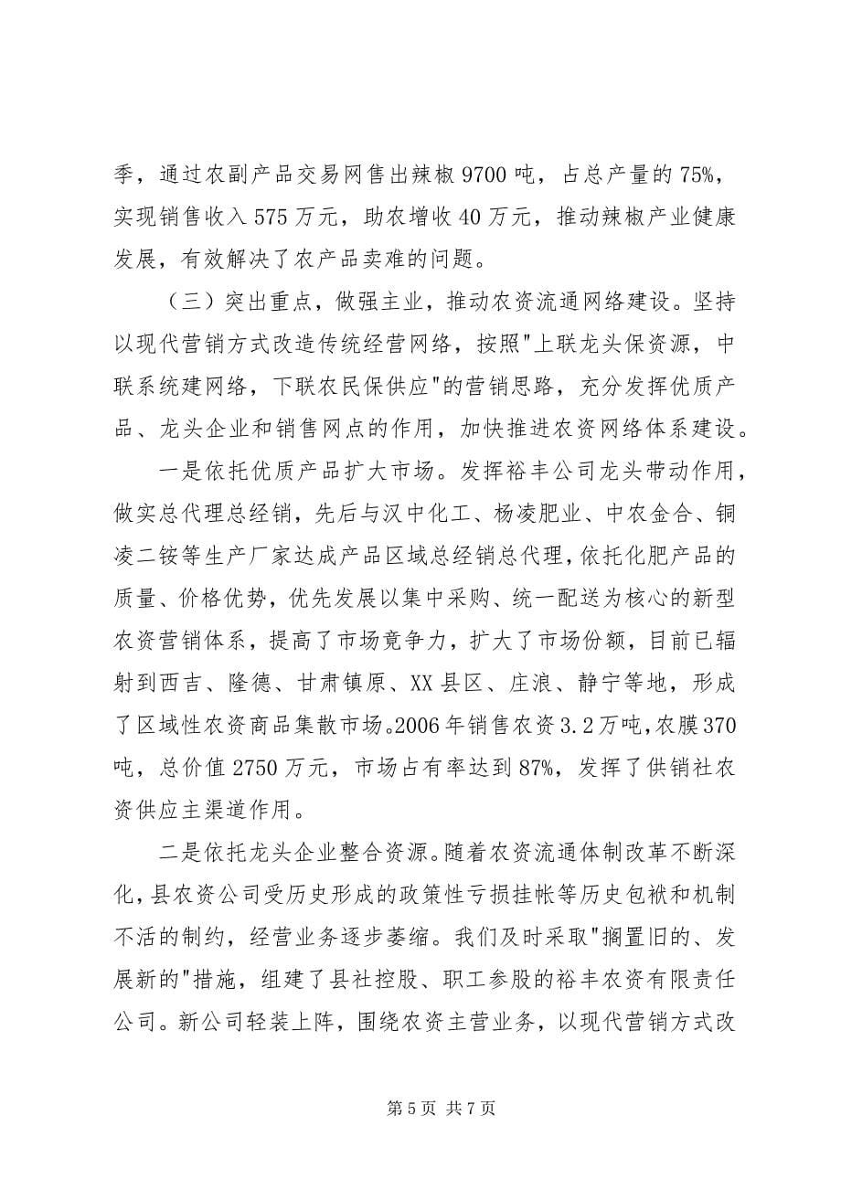 2023年发展农村现代流通网络服务社会主义新农村建设.docx_第5页