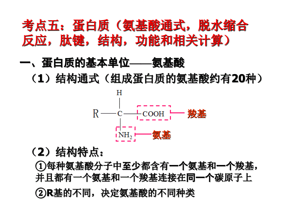 No3蛋白质和核酸及糖类脂质_第3页