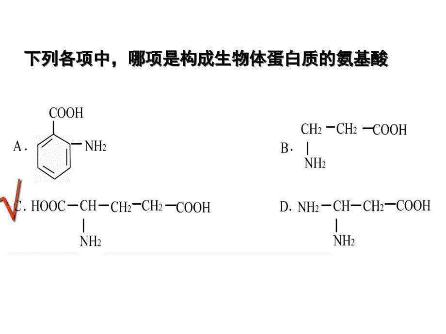 No3蛋白质和核酸及糖类脂质_第5页