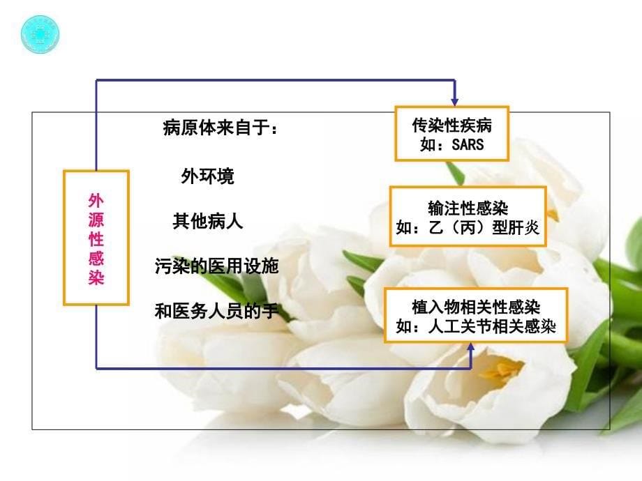 医院感染诊断与控制_第5页