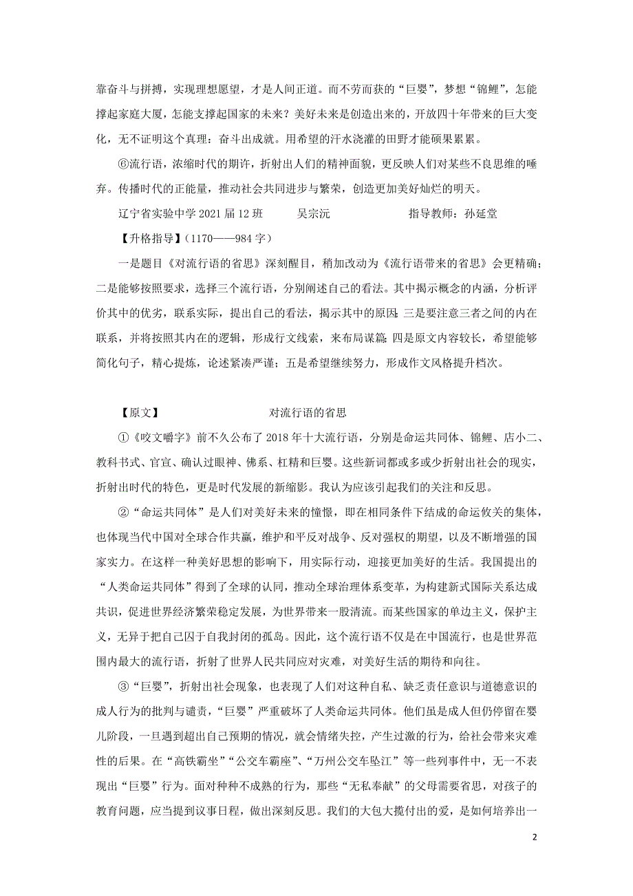 （作文预测）2019高考语文 作文热点话题素材 流行语带来的省思_第2页