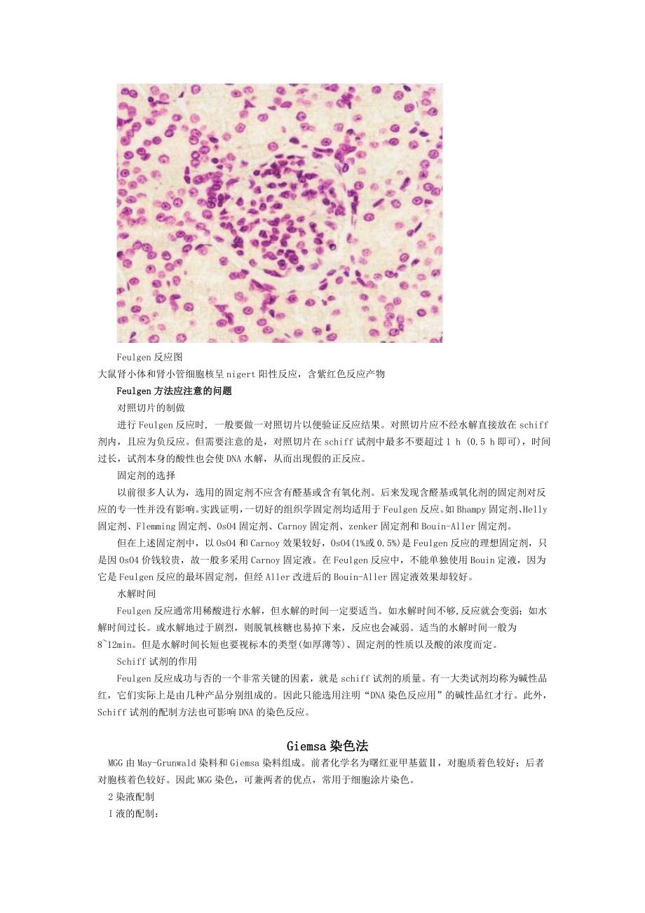 核酸细胞化学.doc_第2页