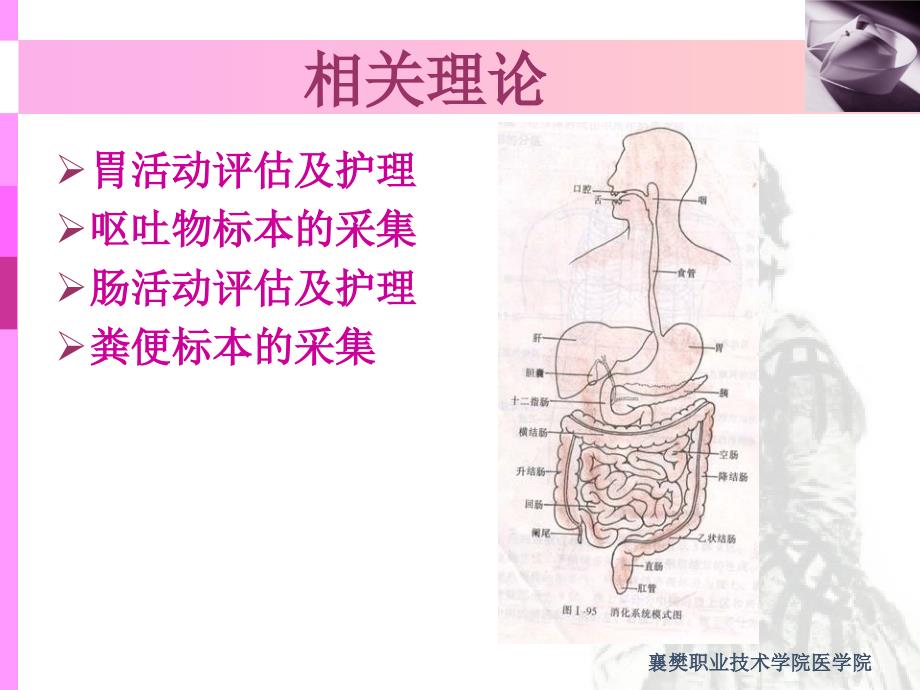 项目十六胃肠道护理技术课件_第3页