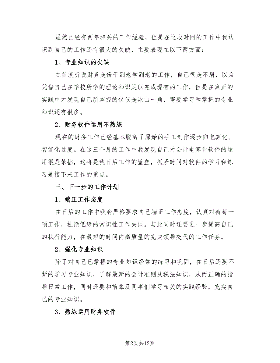 2022年公司财务人员试用期工作总结_第2页