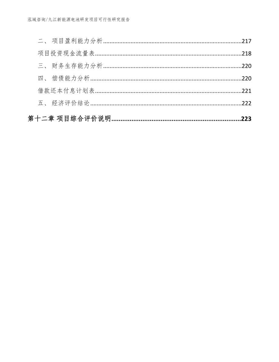 九江新能源电池研发项目可行性研究报告（参考模板）_第5页
