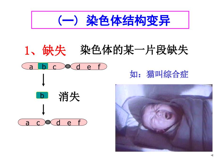 染色体变异总结_第2页