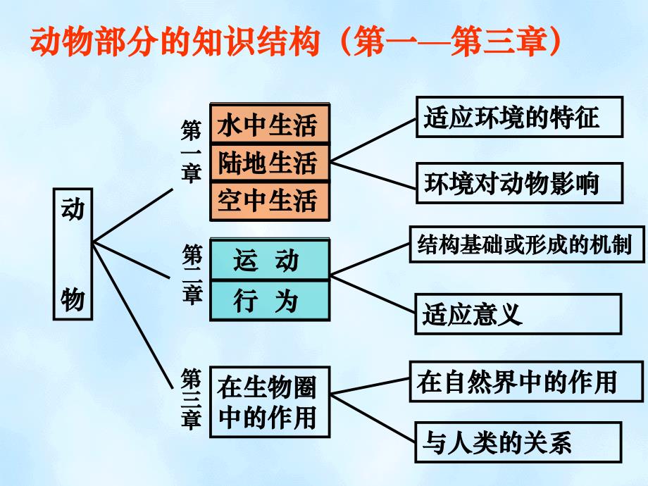 义务教育课程标准实验教科书_第3页