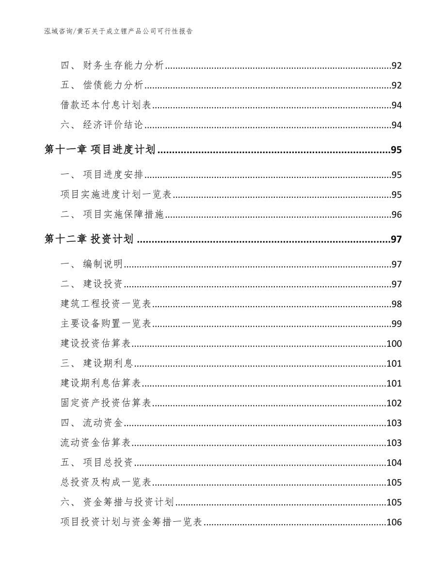 黄石关于成立锂产品公司可行性报告_范文模板_第5页