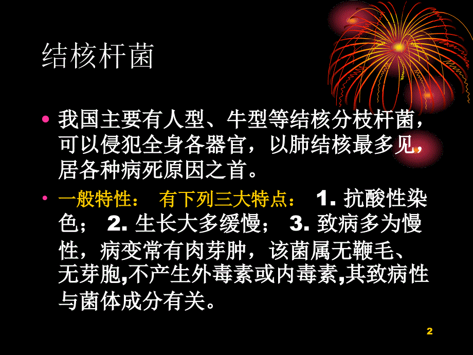 干酪性肺炎CT形态ppt参考课件_第2页